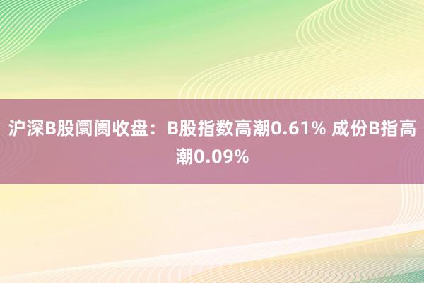 沪深B股阛阓收盘：B股指数高潮0.61% 成份B指高潮0.09%