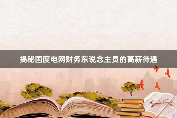 揭秘国度电网财务东说念主员的高薪待遇