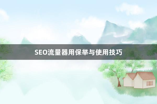 SEO流量器用保举与使用技巧