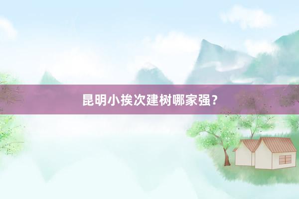 昆明小挨次建树哪家强？
