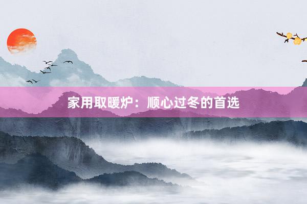 家用取暖炉：顺心过冬的首选
