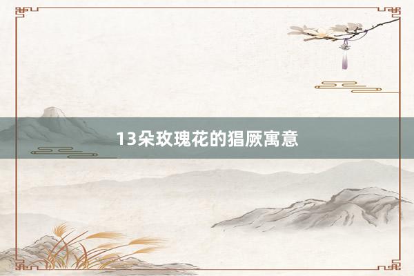 13朵玫瑰花的猖厥寓意