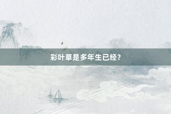 彩叶草是多年生已经？